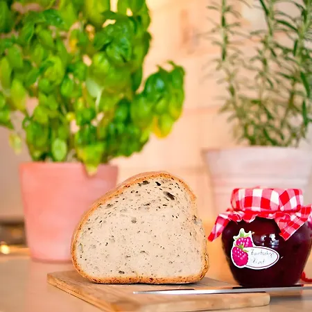 4 Personen Mit Doppelzimmer 아파트 바트리폴드사우샤프바흐