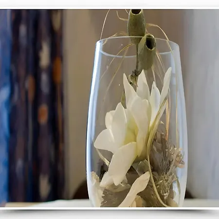 4 Personen Mit Doppelzimmer 바트리폴드사우샤프바흐