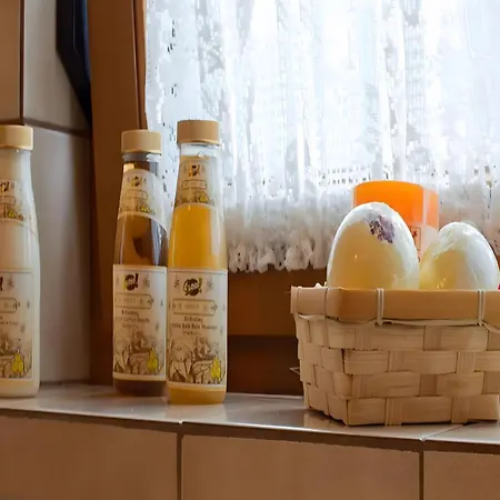 4 Personen Mit Doppelzimmer 아파트 바트리폴드사우샤프바흐